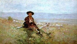 Young shepherd with sheep in the back